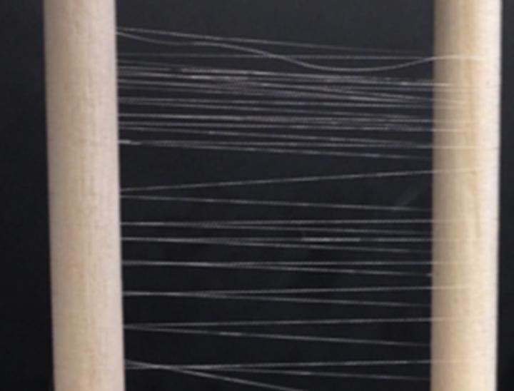 Spun Biosynthetic Silk