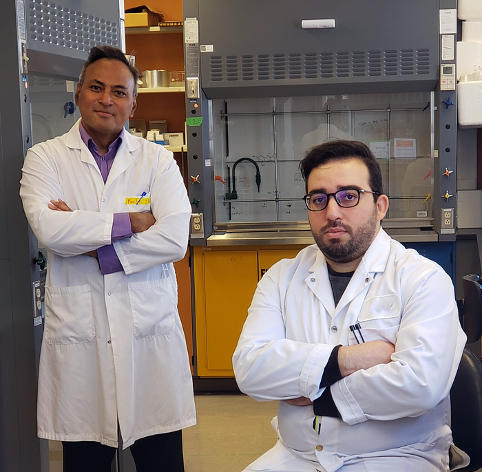 INRS researchers Charles Ramassamy and Mohamed Haddad