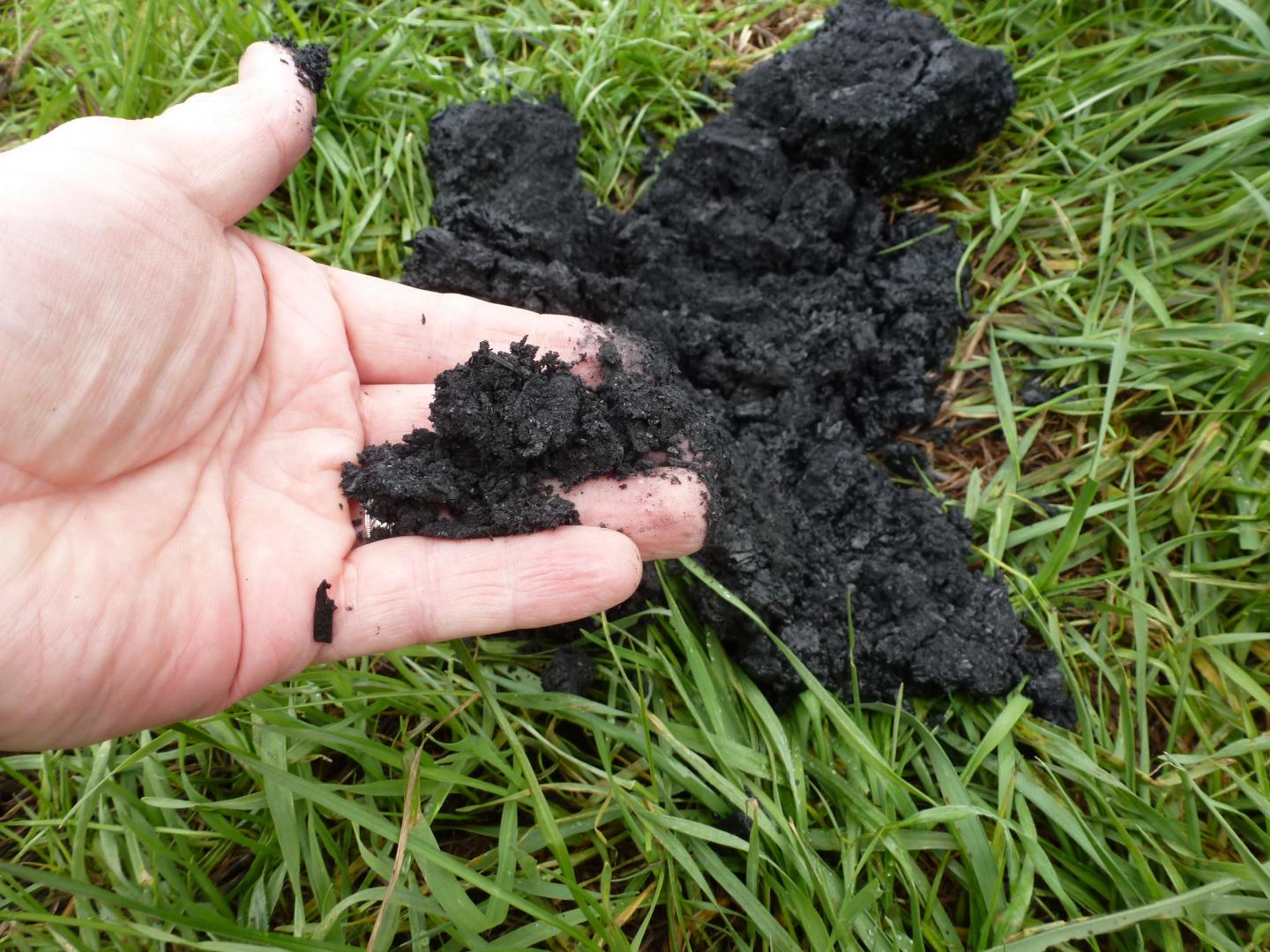 Evaluating Biochar Cover