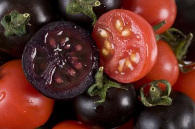 Purple Tomatoes (Cut)