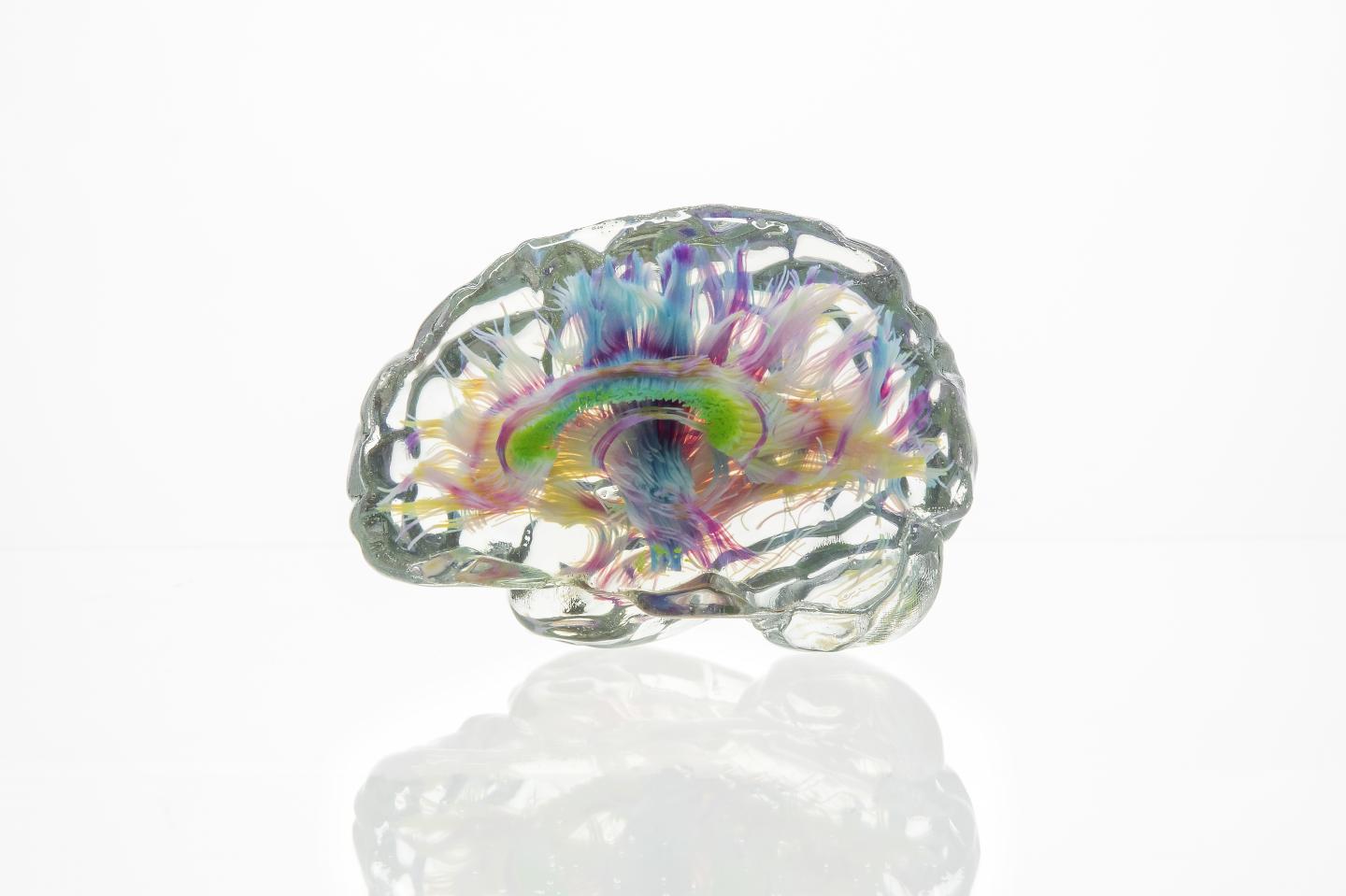 3D Printed Brain Neurons