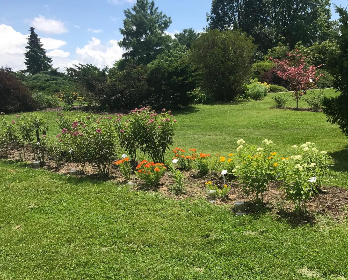 Experimental Gardens