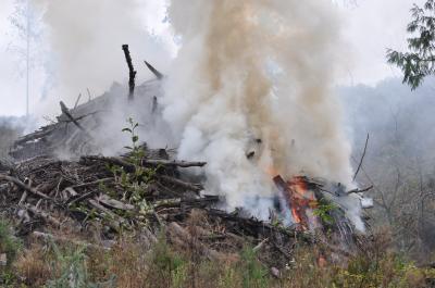 Traditional Slash Pile Burning
