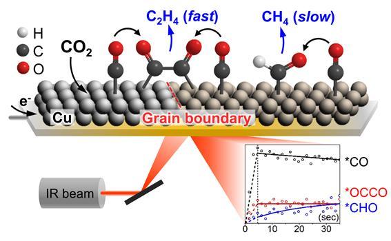 Catalyzing carbon dioxide: System can transform CO2 into CO for