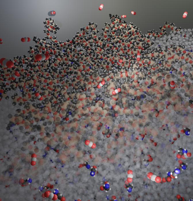 Amino acids react readily with CO2