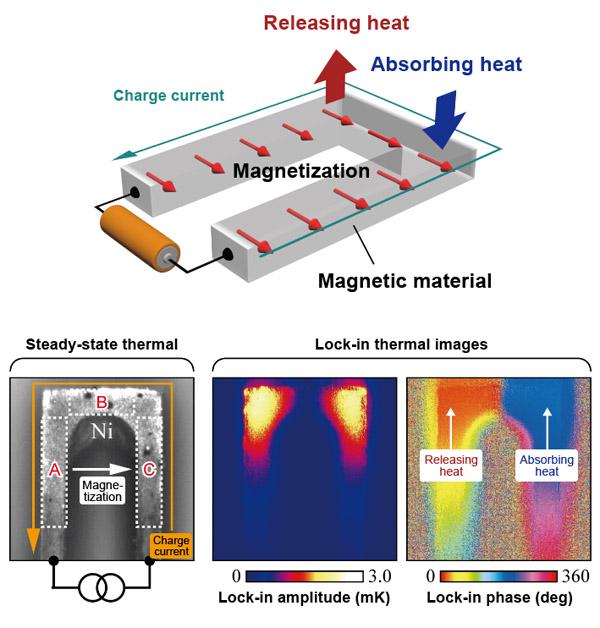 Observation of the Anisotropic magneto-Peltier effect
