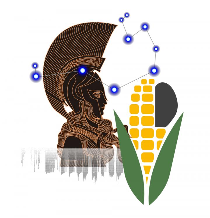 The Pleiades and maize immunity
