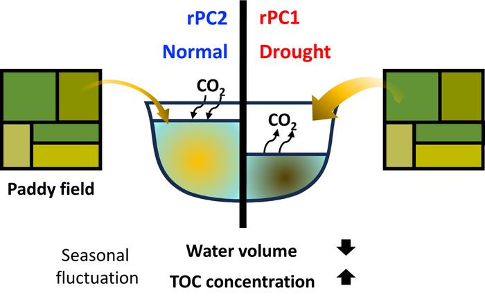 Schematic depicting the evolving role of agricultural reservoirs in the carbon cycle during the severe drought in 2022