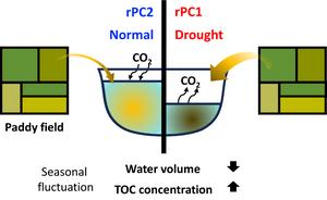 Schematic depicting the evolving role of agricultural reservoirs in the carbon cycle during the severe drought in 2022