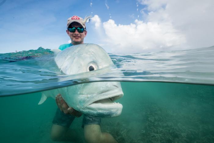 Giant trevally: