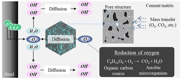 Oxygen Permeability in Concrete