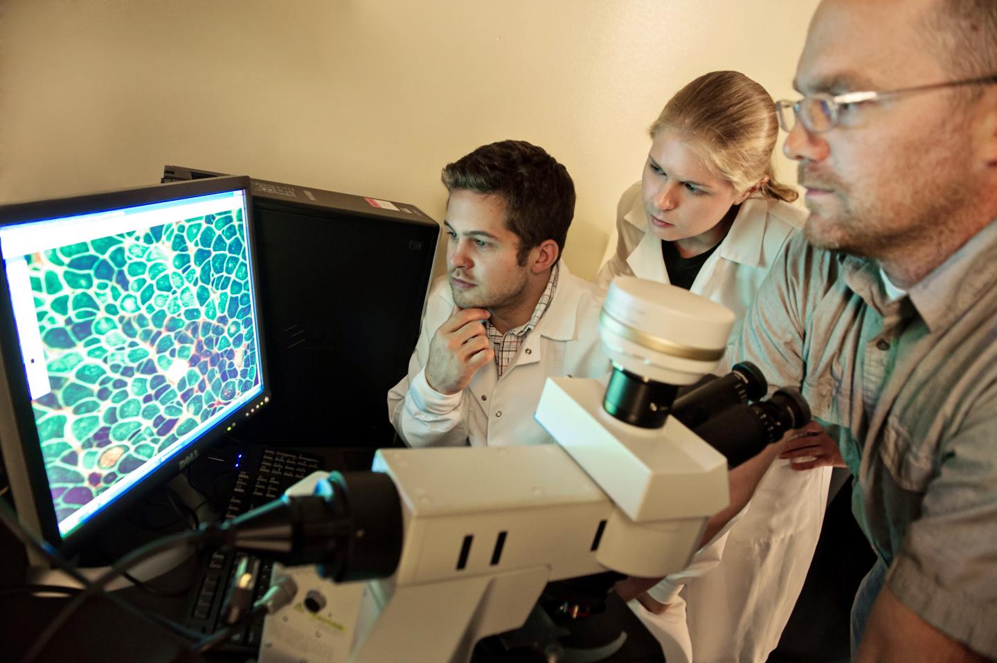 Bypassing Faulty Signalling in Muscular Dystrophy