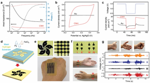 Electroconductive hydrogels