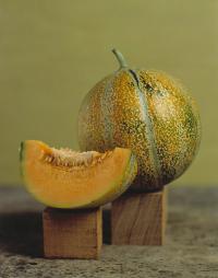 Petite Gris de Rennes Melon