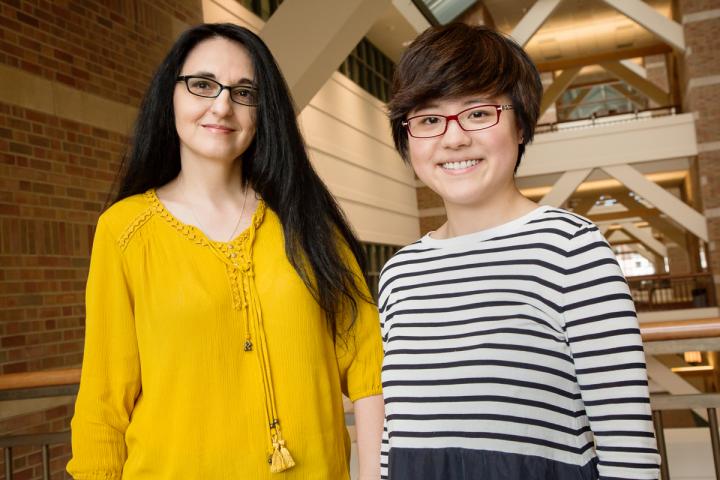 Sanda Dolcos and Yifan Hu, University of Illinois at Urbana-Champaign