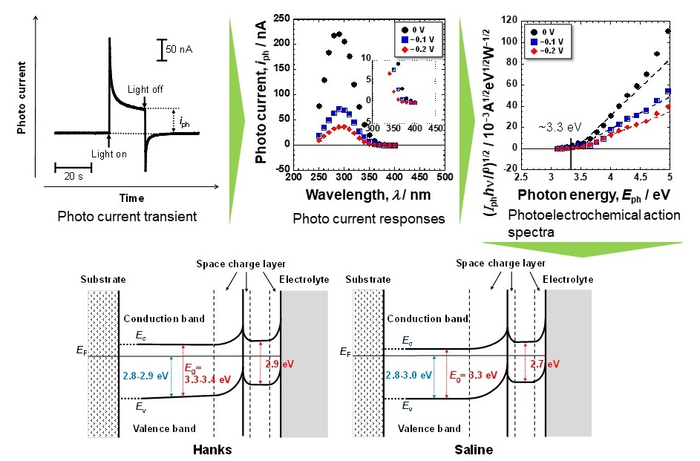 Electronic band structures of passive films formed on Ti in Hanks and saline