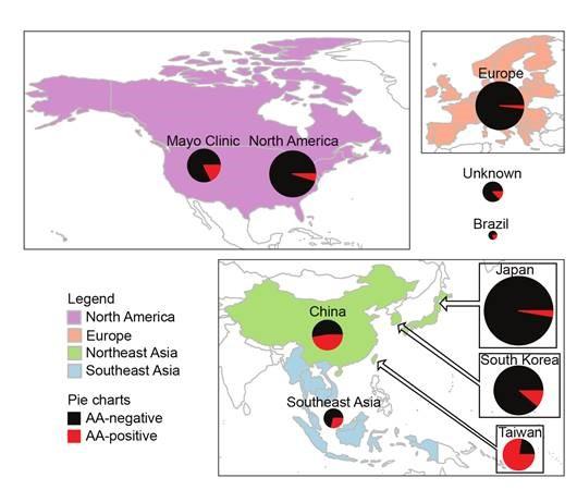 Figure 1. Proportions of Examined Liver Cancers with AA Mutations in Various Regions