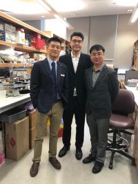 Lead Researchers from Duke-NUS and NNI