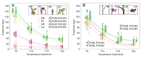 Treatment days under four phenophases and different temperature treatments for Populus tomentosa and Amygdalus triloba