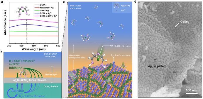 An Efficient Turing Type Ag2Se CoSe2 Multi Interfacial Oxygen Evolving Electrocatalyst