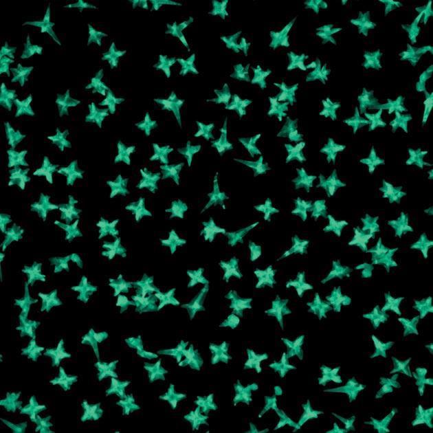 Nanostars