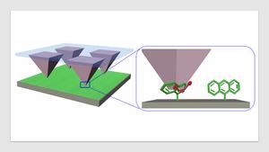 Tip arrays transfer a dienophile molecules