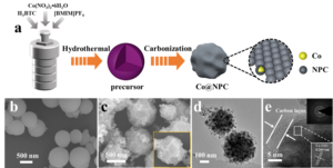 N and P Co-doping Catalysts Synthesized in Recent Study