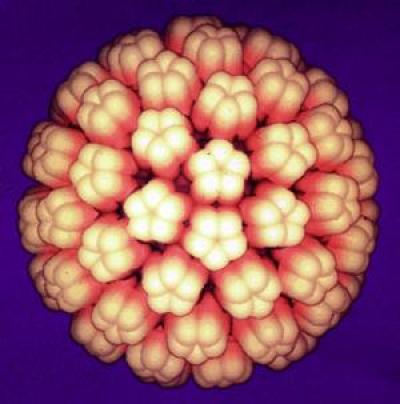 A Common Virus, A Selective Killer