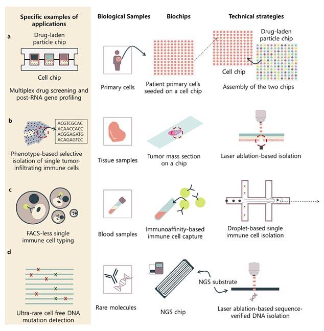 Perspectives on Potential Biochips Used for Next Generation Sequencing for Promising Applications in