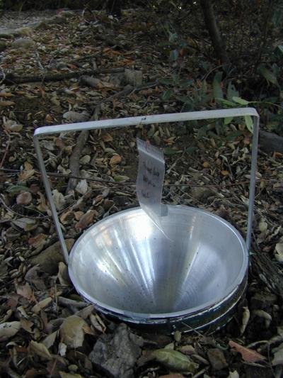 Trap Used to Catch Beetles