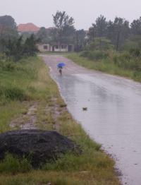 Uganda Rain
