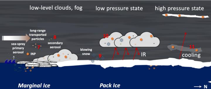 Schematic showing aerosol processes of climate relevance in the Arctic for polar night.