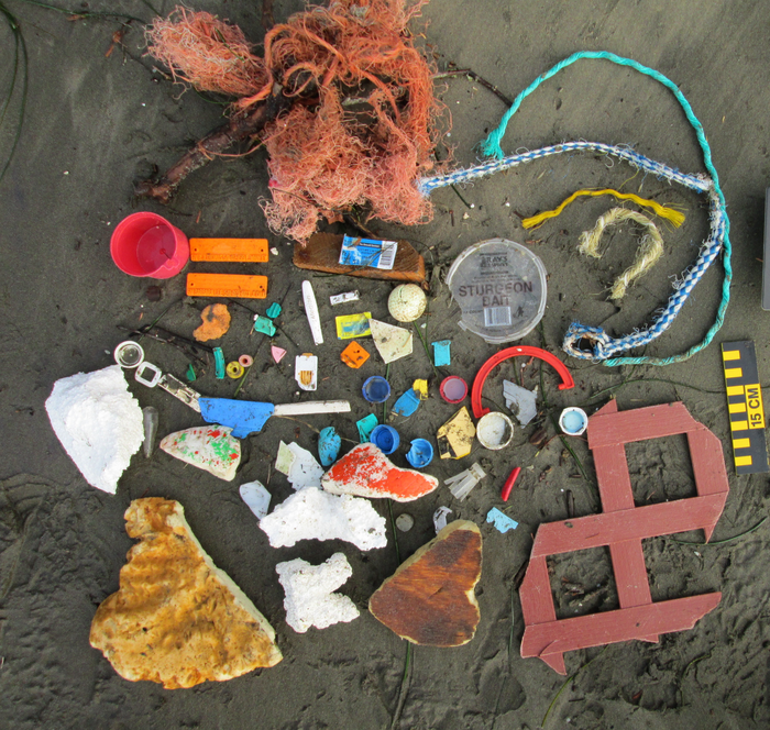 Collection of beach trash