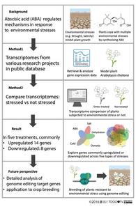 Schematic view of transcriptome meta-analysis