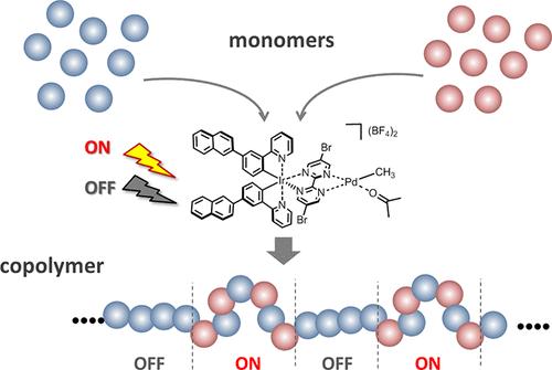 Custom Sequence of Different Compositions in a Single Polymer Chain