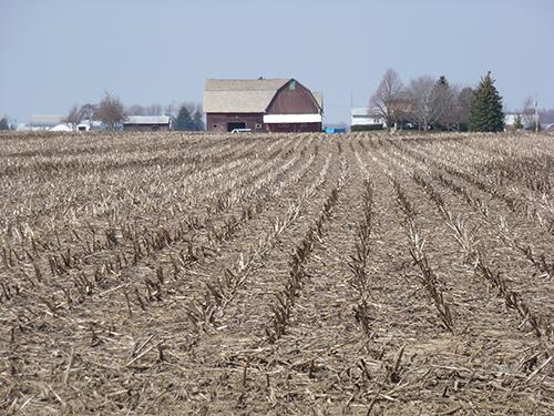 Farmland Near Lake Erie Catchment