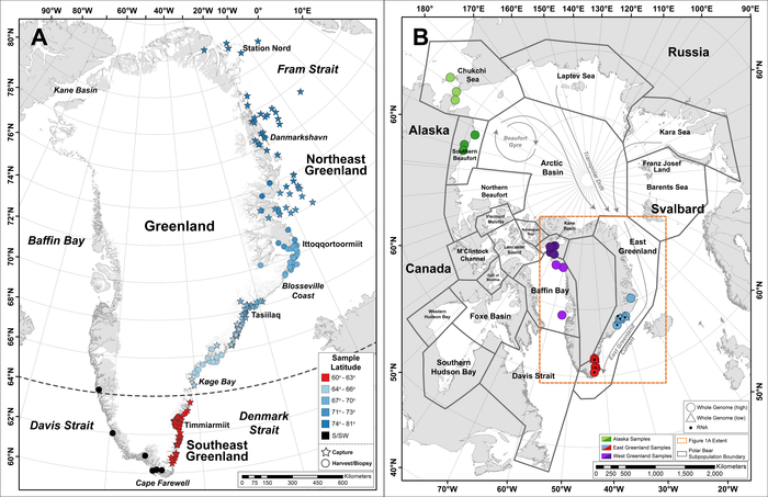 Polar Bears Population Map jpg - Public