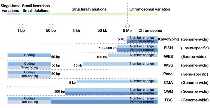 Schematic diagrams depict the efficiency of various genetic testing methods in detecting variants.