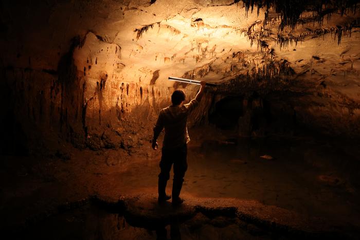 Partly flooded chamber which contains most of the parietal motifs.