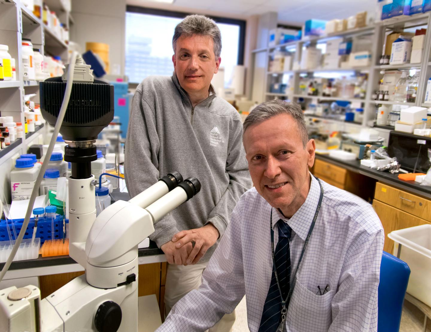 Studying Battlefield Blast Brain Trauma in the Lab