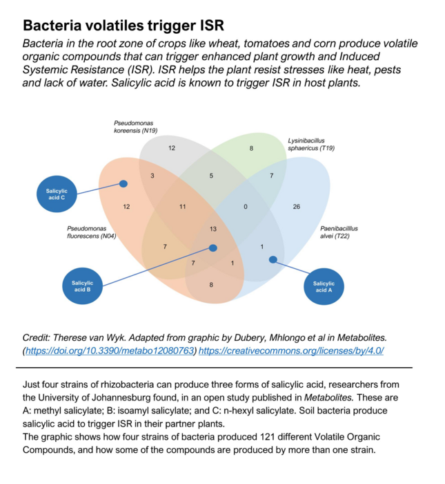 Surprising haul of volatile compounds identified