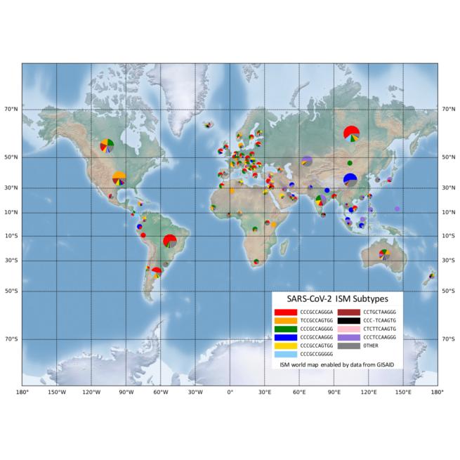 Genetic Tracing 'Barcode' Reveals Patterns in SARS-CoV-2 Mutation