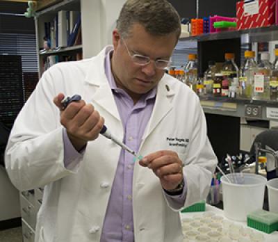 Peter Nagele, Washington University School of Medicine