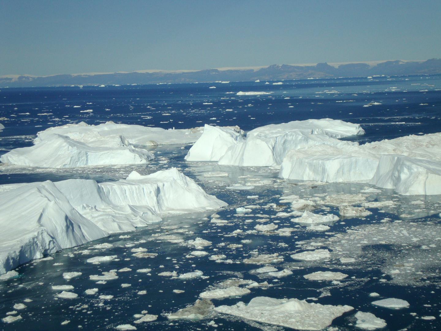 Icebergs at Jakobshavn