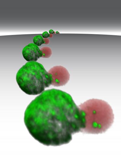 Watching HIV Jump from Cell to Cell (4 of 6)