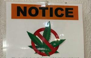 Cannabis warning sign