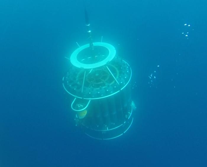 CTD rosette – a device equipped with sensors and bottles to collect water samples and measure different properties of the ocean at various depths