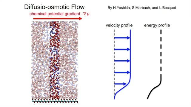 Non-Equilibrium Molecular Dynamics Simulation of Diffusio-Osmotic Flow
