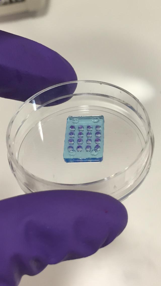 The First Synthetic Retina