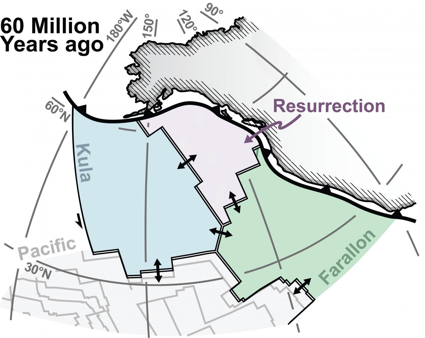 Plate tectonic reconstruction